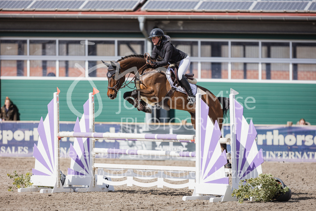 230411_Mühlen_03SprPf-L-443 | Deine schönsten Turniermomente als professionelle Fotos! Entdecke hochwertige Pferdesport-Fotografie im Online-Shop. Jetzt Fotos finden & bestellen!