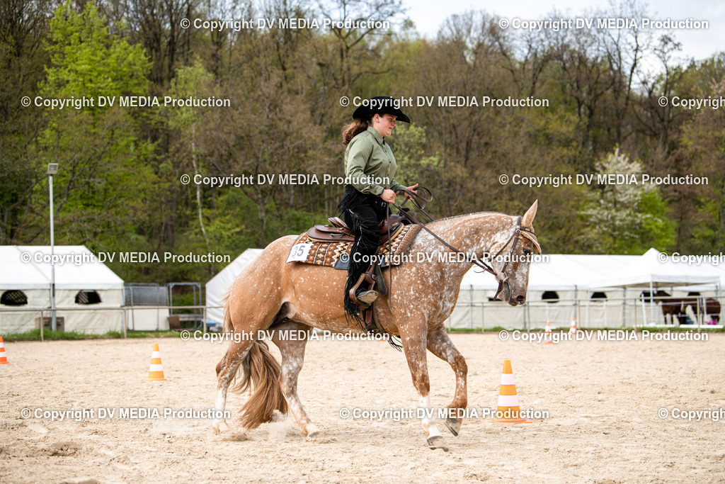 Heiligenwald Tag 1-792 | dv-media-shop - Realisiert mit Pictrs.com