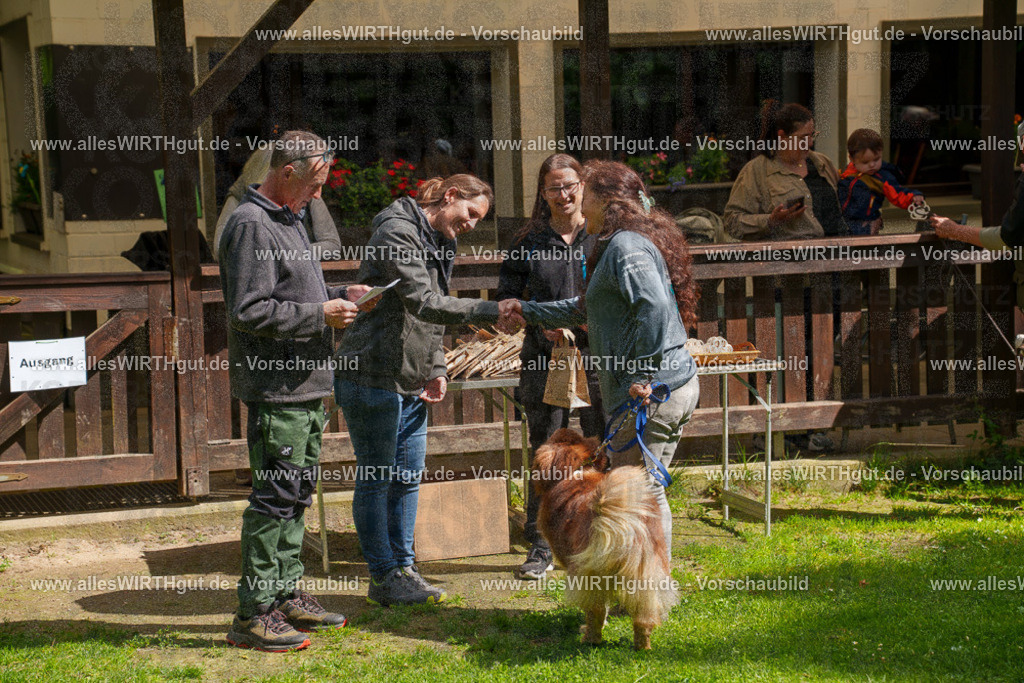 @allesWIRTHgut_Tierfotografie - www.allesWIRTHgut.de - 7R506065 | Professionelle Tierfotografie in Mönchengladbach von Daniel Wirth (allesWIRTHgut). Liebevolle & natürliche Bilder von Hunden & Katzen für unvergessliche Erinnerungen.