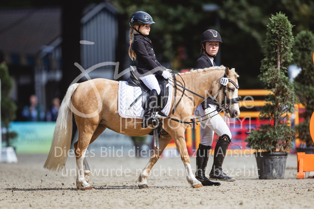 240915_OWLCh_FuehrzuegelWB-664 | Deine schönsten Turniermomente als professionelle Fotos! Entdecke hochwertige Pferdesport-Fotografie im Online-Shop. Jetzt Fotos finden & bestellen!