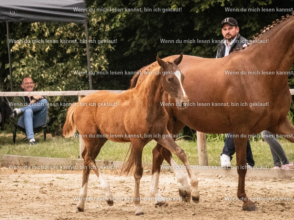 A10I2160 15.54.45 | photographylinaismer - Realisiert mit Pictrs.com