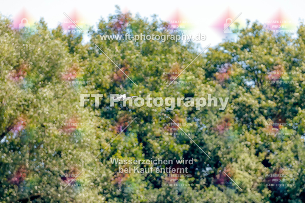 _MOT9446 | Hier findet Ihr Bilder von Touristenfahrten auf der Nürburgring Nordschleife oder von anderen Veranstaltungen die ich besucht habe. Viel Spass beim Durch Schauen 