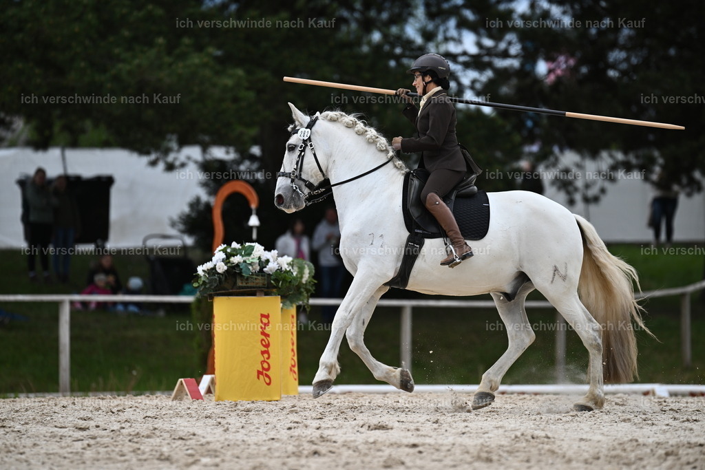 PI26_ST_Sara_Landvogt226_3005.JPG | working equitationturnier fotograf videograf stoibphotography marixx film working equitation deutschland reitsport turnierfotografie eventfotografie equestrian events