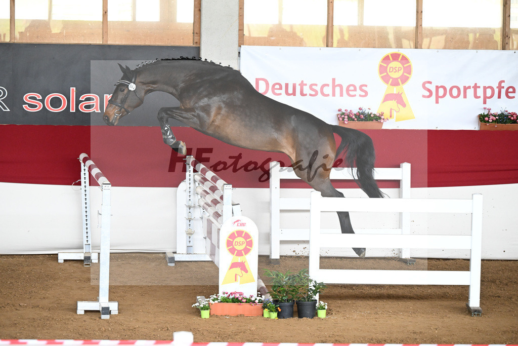 Kat-Nr. 44 Uma v. Uno I_Volkert_9240870 | hf-fotografie - Realizzato con Pictrs.com