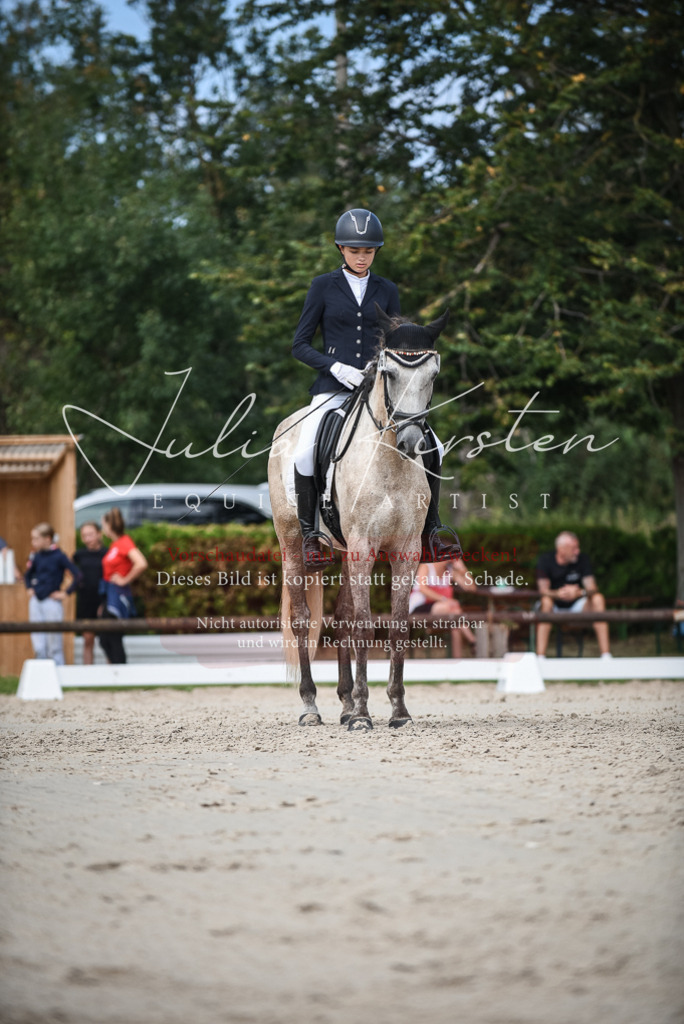 DSC_8663 | Pferde- und Turnierfotografie in Westsachsen. Pferdeportraits, Auftragszeichnungen und intuitive Kunst.