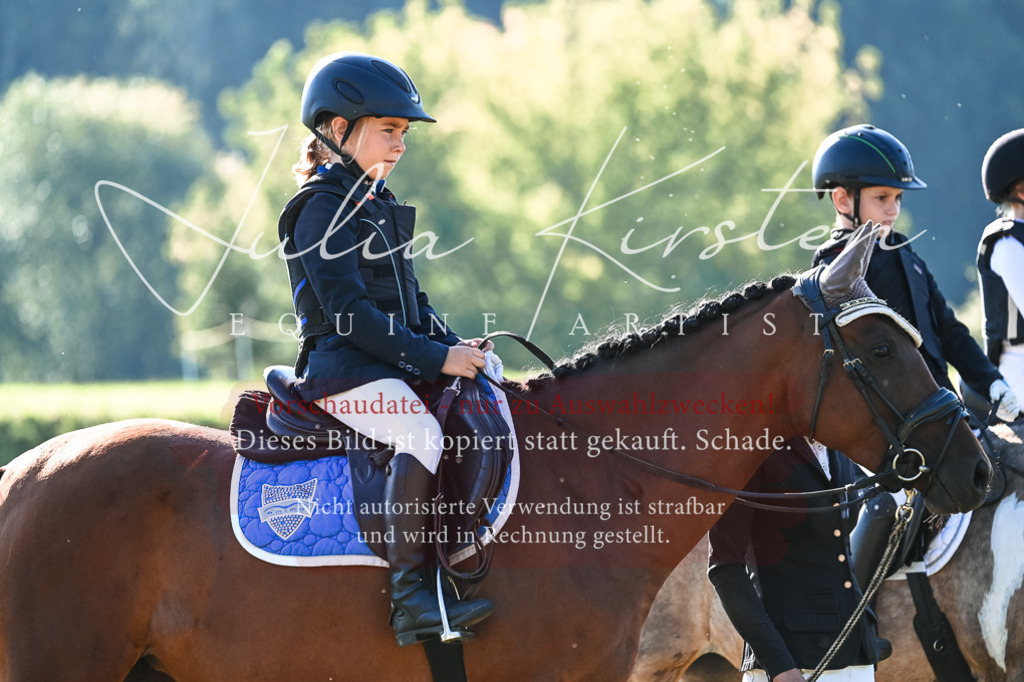 DSC_0508 | Pferde- und Turnierfotografie in Westsachsen. Pferdeportraits, Auftragszeichnungen und intuitive Kunst.