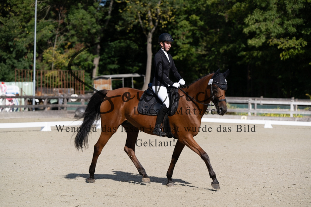A7V06953 | Turnier/Reitfotograf