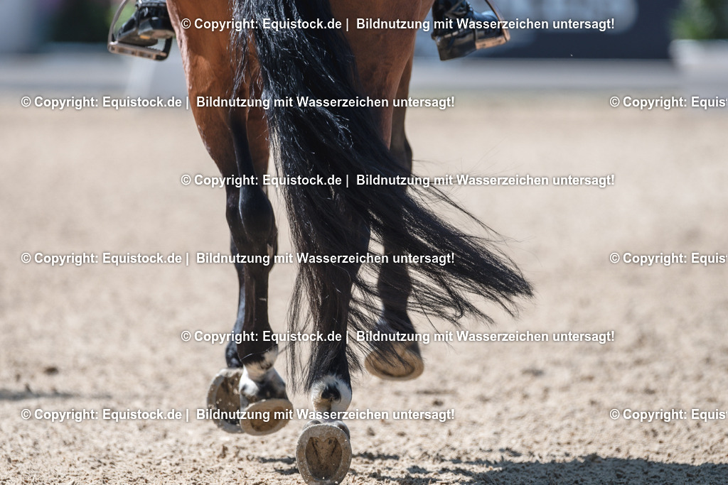 20230529_29_Louisdor_0118 | equistock