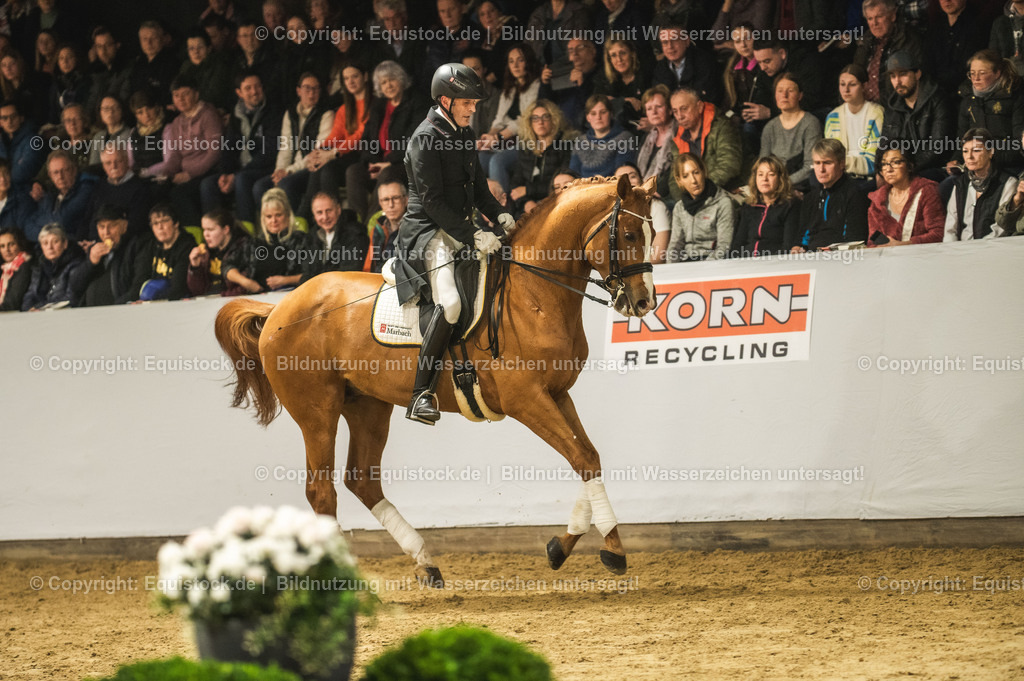 20240302_Hengstvorstellung_Marbach_TOMsPiC_0916-2 | equistock