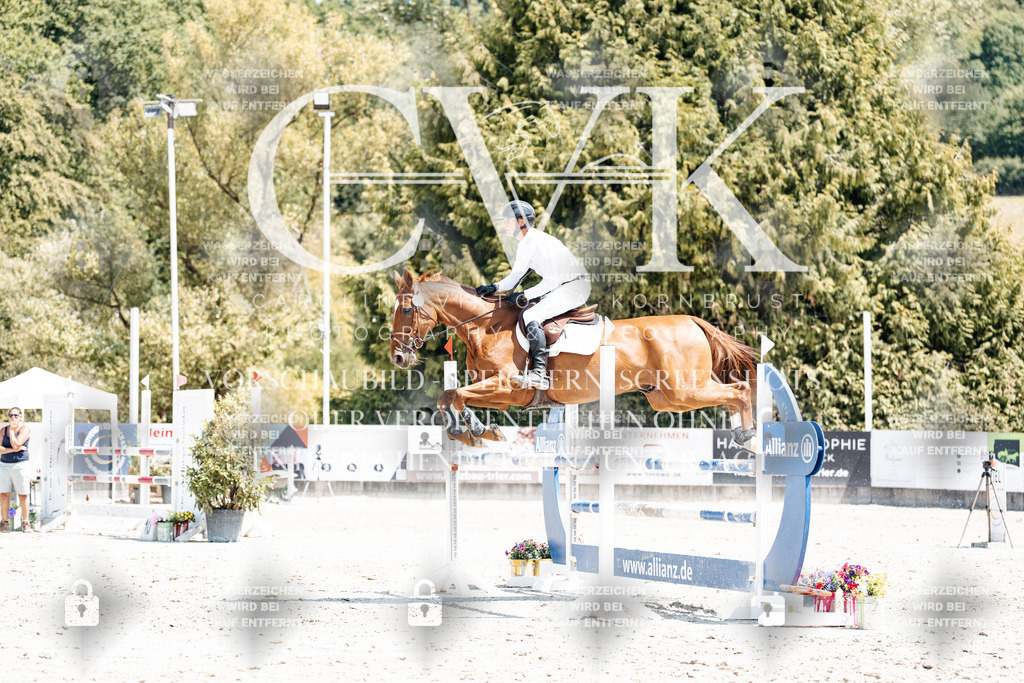 CK900691 | Turnierfotografie Pferdefotografie Trier Rheinland-Pfalz Pferdesport Reitsport Tierfotografie Sportfotografie Pferdevideo Pferdevideografie Equestrianvideography equestrianphotography  - Realisiert mit Pictrs.com