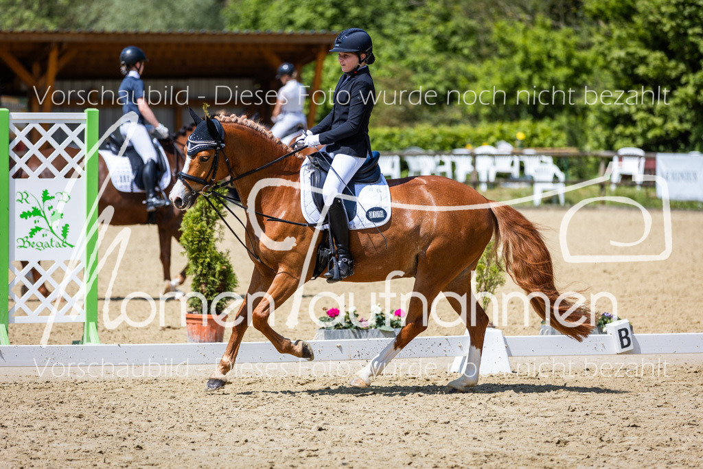 Donop24-RWB-015 | MomenTaufnahmen Pferdesportfotos