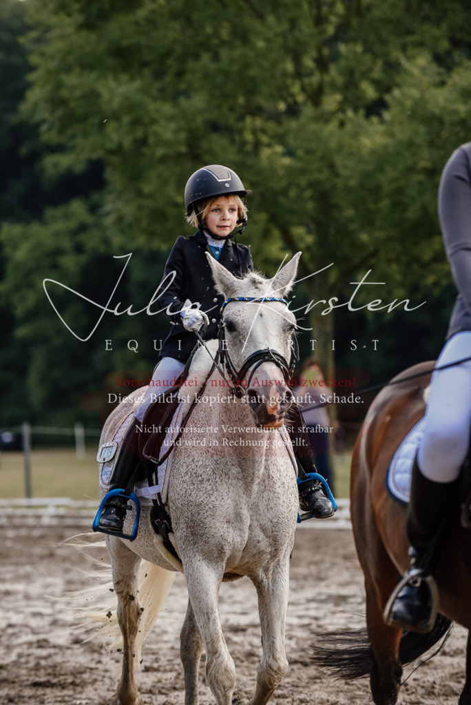 DSC_8318 | Pferde- und Turnierfotografie in Westsachsen. Pferdeportraits, Auftragszeichnungen und intuitive Kunst.