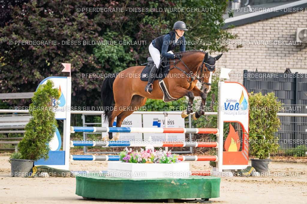 DSC08370 | Pferdegrafie