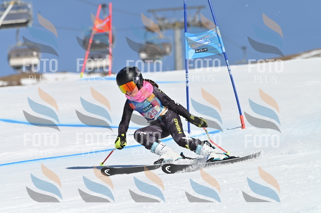 BGV_8055 | holidayphoto