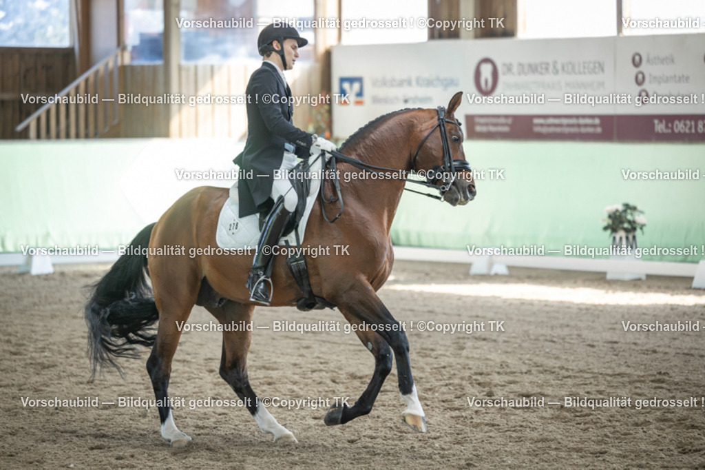 _D5A9756 | Emotionale Pferde- & People-Fotografie rund um Heidelberg, Leimen & Umgebung. Natürliche Fotos von Pferd, Mensch & Familie. Jetzt Termin sichern!