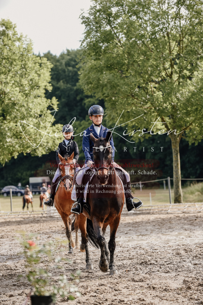 DSC_9130 | Pferde- und Turnierfotografie in Westsachsen. Pferdeportraits, Auftragszeichnungen und intuitive Kunst.