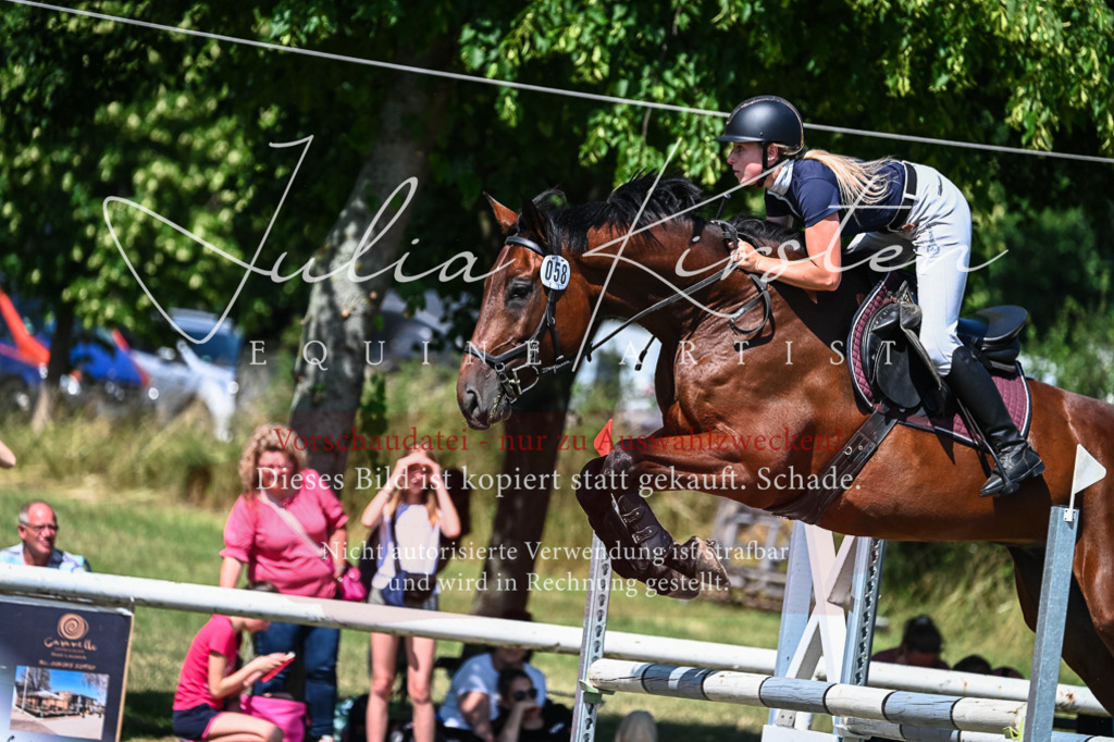 DSC_1278 | Pferde- und Turnierfotografie in Westsachsen. Pferdeportraits, Auftragszeichnungen und intuitive Kunst.