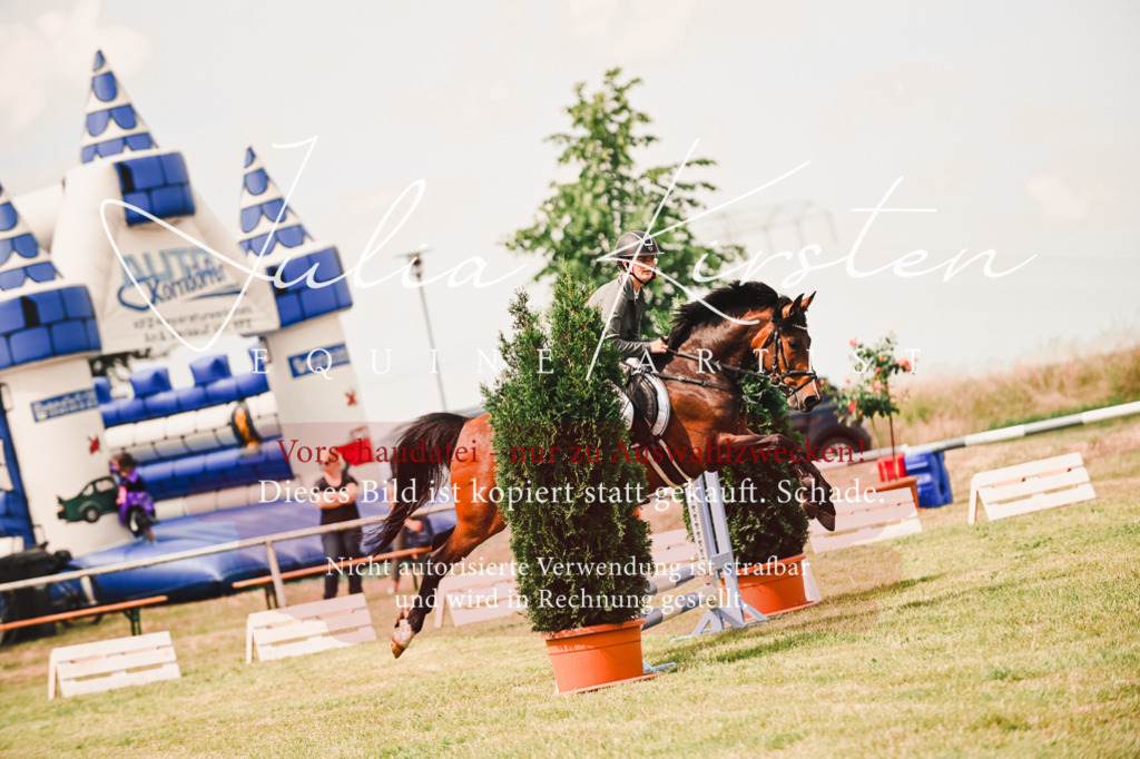 DSC_6926 | Pferde- und Turnierfotografie in Westsachsen. Pferdeportraits, Auftragszeichnungen und intuitive Kunst.