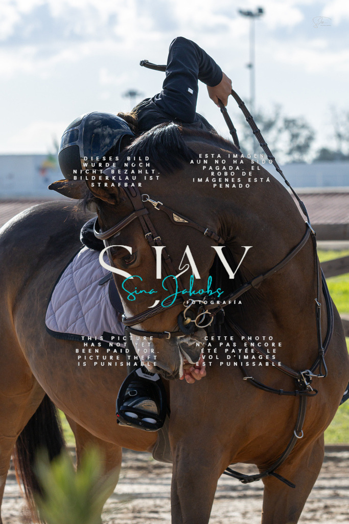 IMG_1837 | s-jay-photography - Realisiert mit Pictrs.com