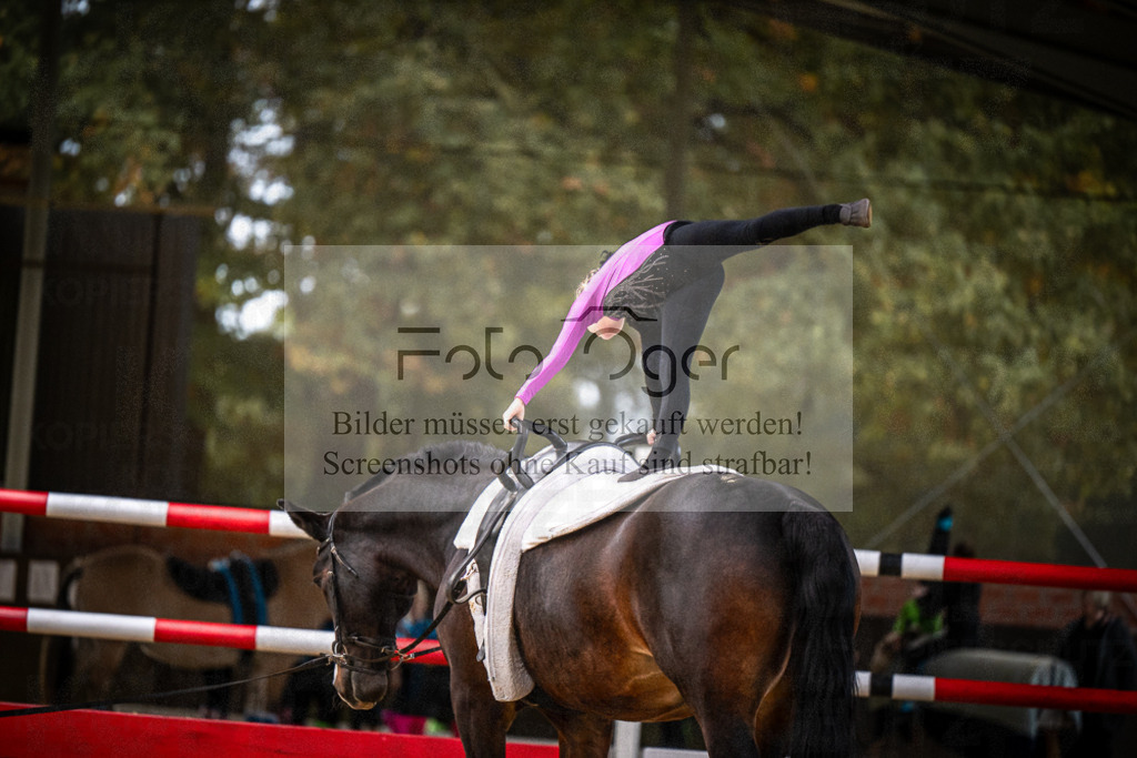 DOS_0127 | Entdecke hochwertige Reitturnierfotos von Foto Oger. Professionell, emotional und authentisch – jetzt Lieblingsmomente im Shop bestellen.Deutschlandweite Turnierfotografie. - Realisiert mit Pictrs.com