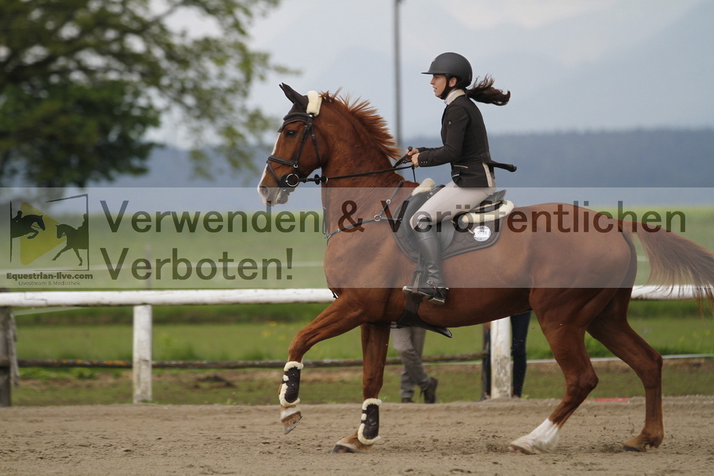 _MG_8019 | equestrian-live-com