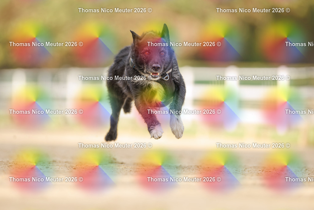 Thomas_Nico_Meuter(C)_03. Oktober 2026_223A8319 | Bild von Thomas Nico Meuter - Realisiert mit Pictrs.com