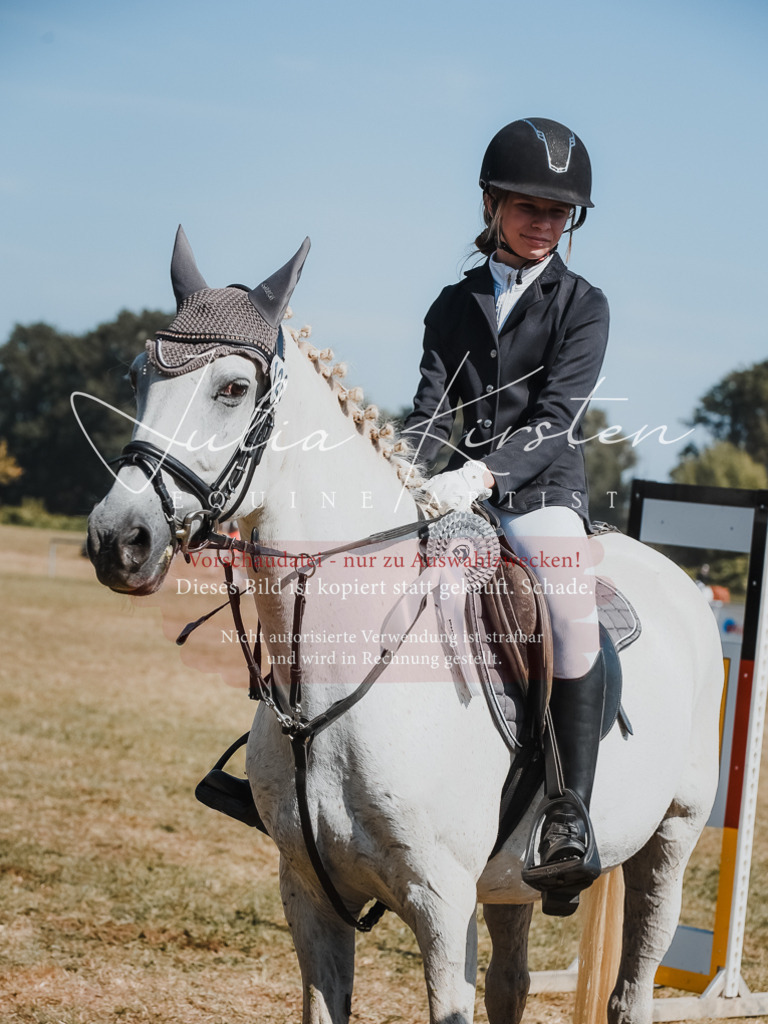 DSC_6400 | Pferde- und Turnierfotografie in Westsachsen. Pferdeportraits, Auftragszeichnungen und intuitive Kunst.