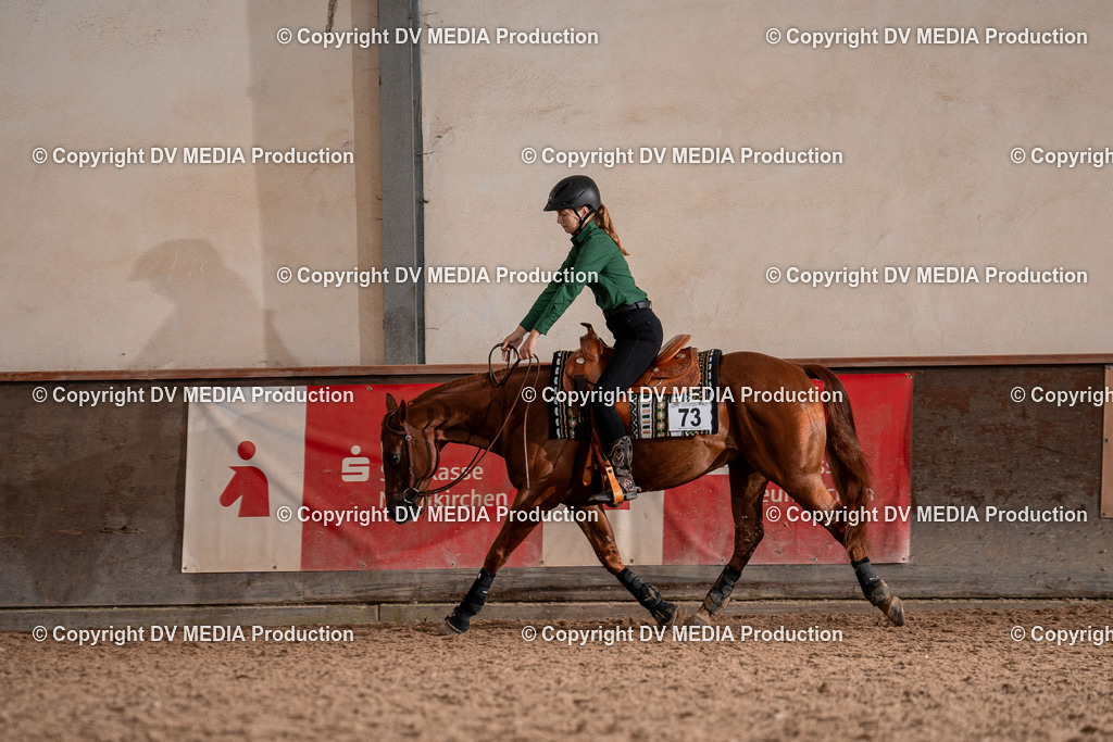 LM Heiligenwald Tag 3-210 | dv-media-shop - Realisiert mit Pictrs.com