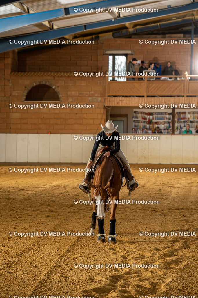 MIT01054 | dv-media-shop - Realisiert mit Pictrs.com