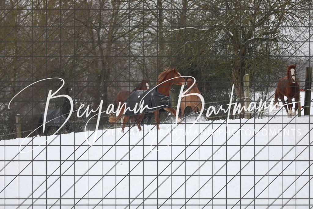 AZ2A3331 | Benjamin Bartmann Photomoments