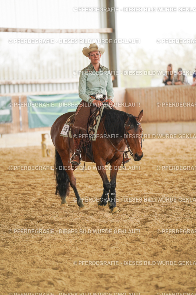 DSC06488 | Pferdegrafie