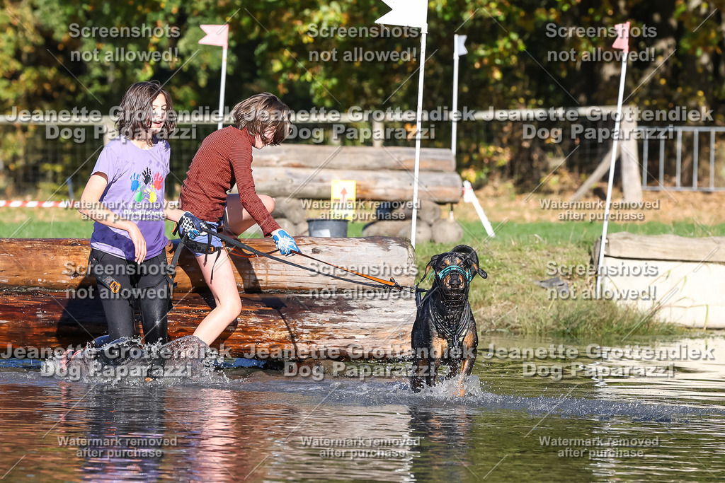 Dog Paparazzi - Strongdog 10-25-8929 | Dog Paparazzi Jeanette Grottendiek Fotografie & Videografie - Realisiert mit Pictrs.com