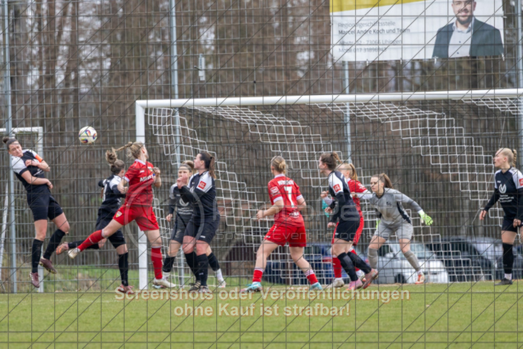 20260315_124819_0602 | #,TV Jebenhausen (schwarz) vs. VfB Stuttgart II (rot), Fussball, Frauen-Verbandsliga Württemberg, 13. Spieltag, Saison 2025/2026, Rasenplatz TV Jebenhausen, Schelmenwasen 3, 73035 Göppingen, 15.03.2026 - 11:00 Uhr,Foto: PhotoPeet / Event- &amp; Sportfotografie / Peter Harich