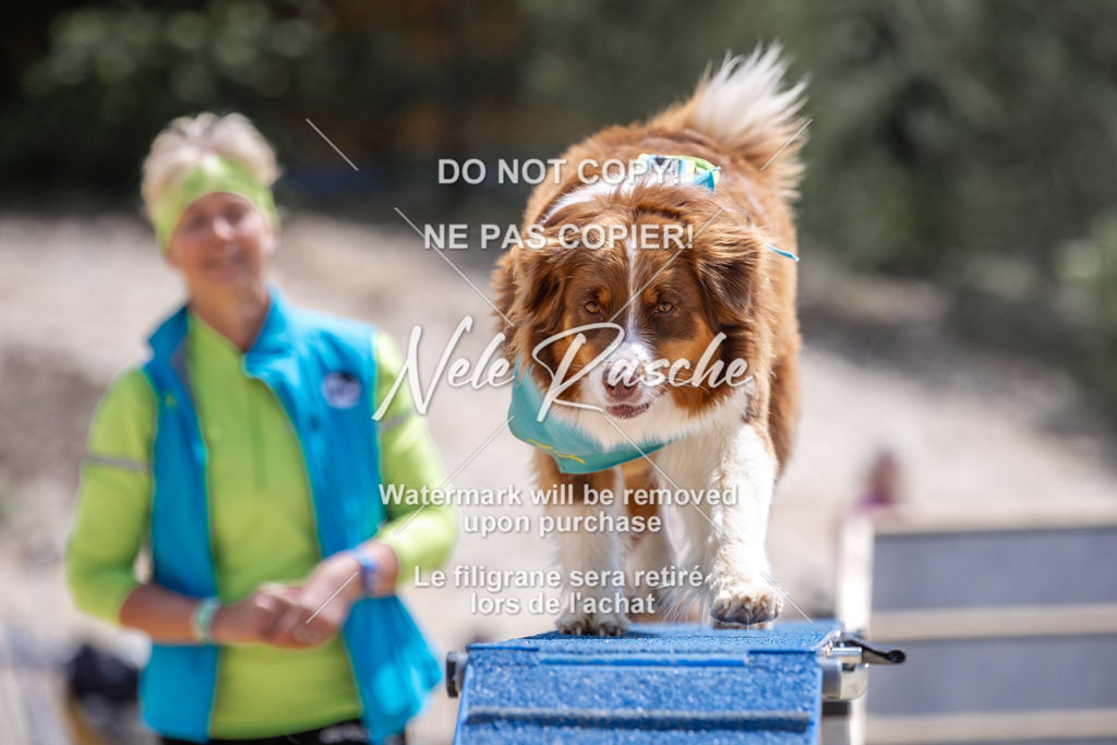 NR__2254 | nelerasche