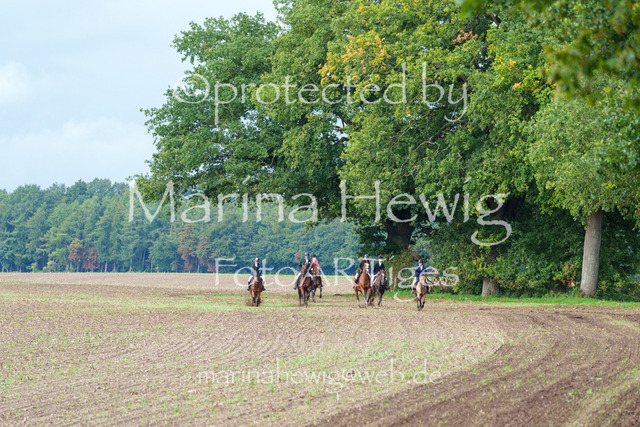 Jagd Perdoel 26 Sony-03983_MarinaHewig | Fotografie, FotoArt, PferdesportArt, Pferdesportfotografie, Landschaftsfotografie, Reisefotografie, Reise, Pferde - Realisiert mit Pictrs.com