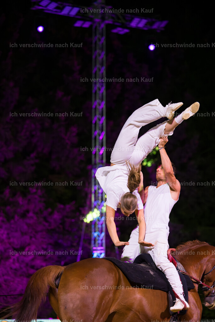 Gala-297 | working equitationturnier fotograf videograf stoibphotography marixx film working equitation deutschland reitsport turnierfotografie eventfotografie equestrian events