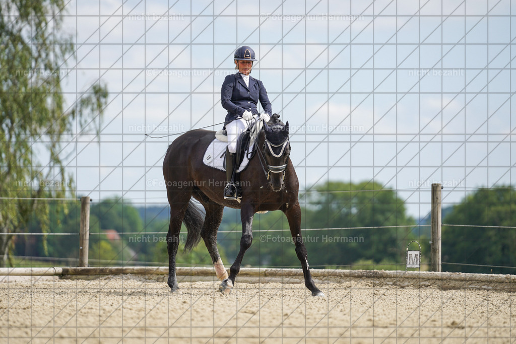 20230826-FAH05895 | Forstinning, 2023, Dressurturnier, Turniersportbilder, Turnierfotografen Bayern, Fotoagentur Herrmann, Reitsportfotografie, Turnierbilder