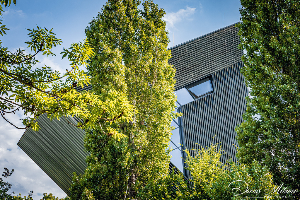 _DSC2115 | Fotografien, Fotos und Bilder aus Mainz, Frankfurt, Wiesbaden und anderen Orten auf der Welt - Fotografiert von Darius Metzner