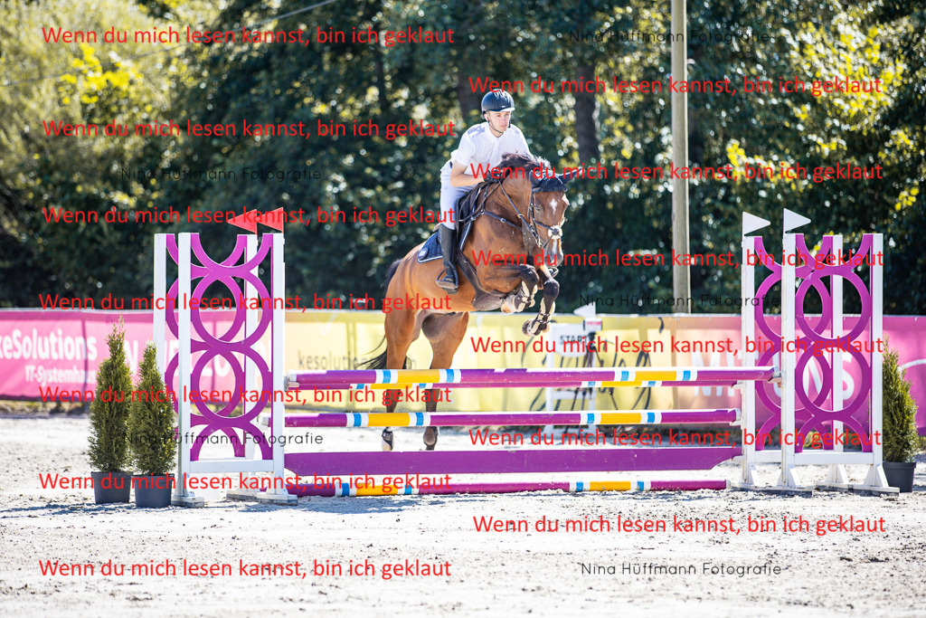 BK1A5487 | Turnierbilder Turnierfotos Nina Hüffmann Turnierfotografie Pferdefotografie Tierzeichnung Haustierzeichnung Pferdezeichnung Hundezeichnung Videograf  - Realisiert mit Pictrs.com