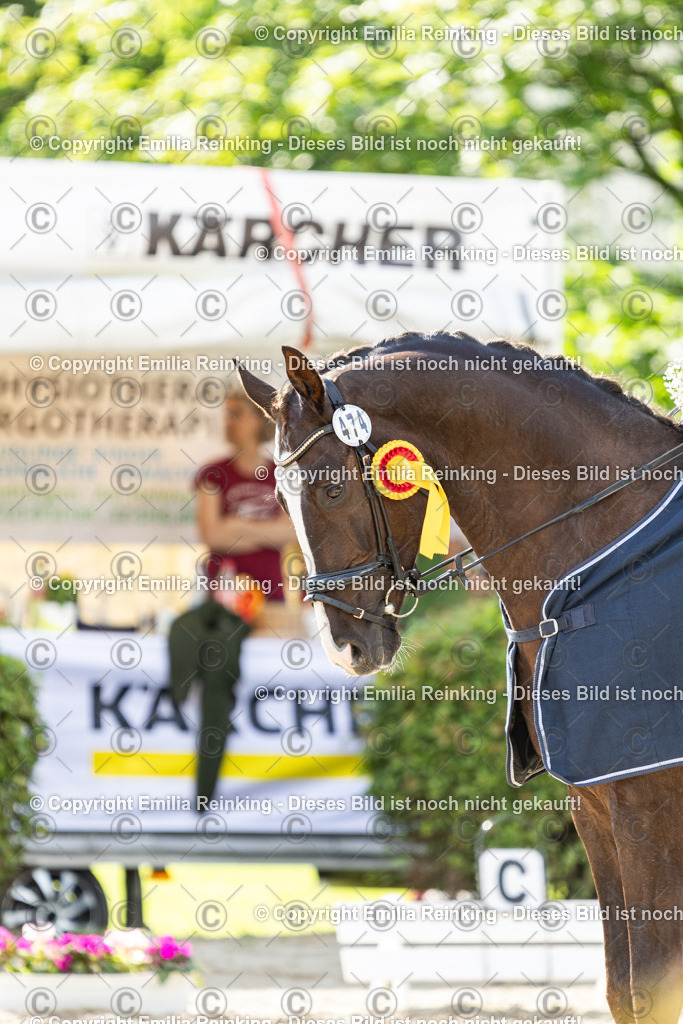 CL5A6796-2 | Emilia Reinking Fotografie - Realisiert mit Pictrs.com