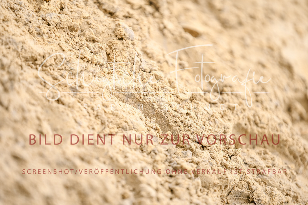 Schugtsche-Aluta25-41.Amat-Dressurprf.A_-565 | Schugtsche Fotografie - Realisiert mit Pictrs.com