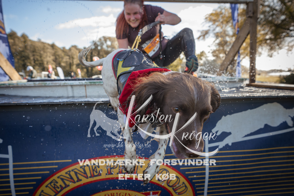 1224_ZZ96117 | kk-dogfotos