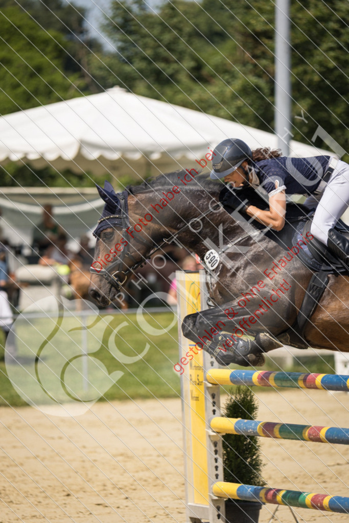 IMG_9464 | Sport-, Event- und Tierfotos in Profiqualität. Einfach auswählen, bestellen und herunterladen. Dein Moment – perfekt festgehalten.