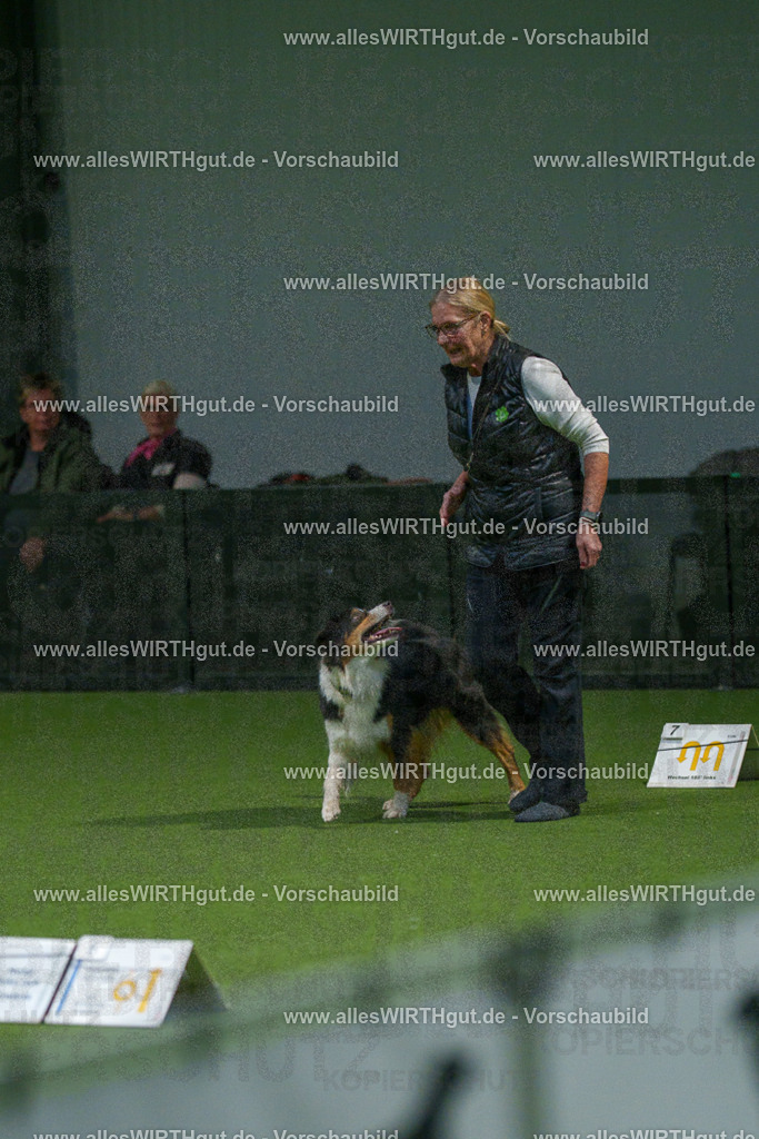 7R507582 | Professionelle Tierfotografie in Mönchengladbach von Daniel Wirth (allesWIRTHgut). Liebevolle & natürliche Bilder von Hunden & Katzen für unvergessliche Erinnerungen.