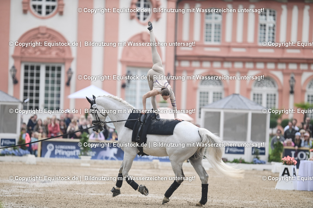 20240519_Voltige_0270 | Foto: Thomas Hartig