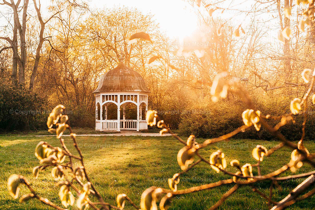 Johanna-Park | Der Johanna-Park in Leipzig verbindet Ruhe, Natur und Citynähe – ideal für Spaziergänge, Entspannung und Ausblicke auf die Stadtkulisse. - Realisiert mit Pictrs.com