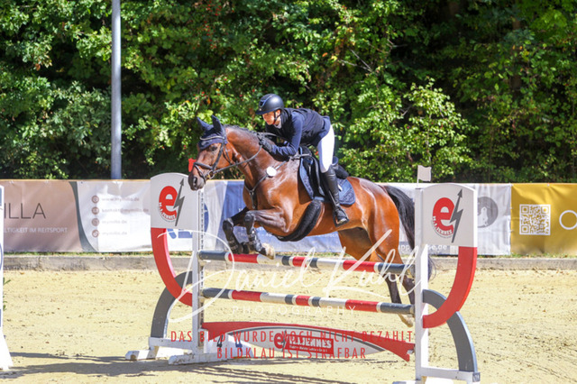 DKP43105 | Deine Turnierfotos vom Reitturnier online kaufen: Dressur, Springen & Siegerehrung. Professionelle Pferdefotografie aus dem Rheinland – als Download & Print.Alternative: Turnierfotograf für den Pferdesport: Finde deine Fotos von Dressur- und Springturnier