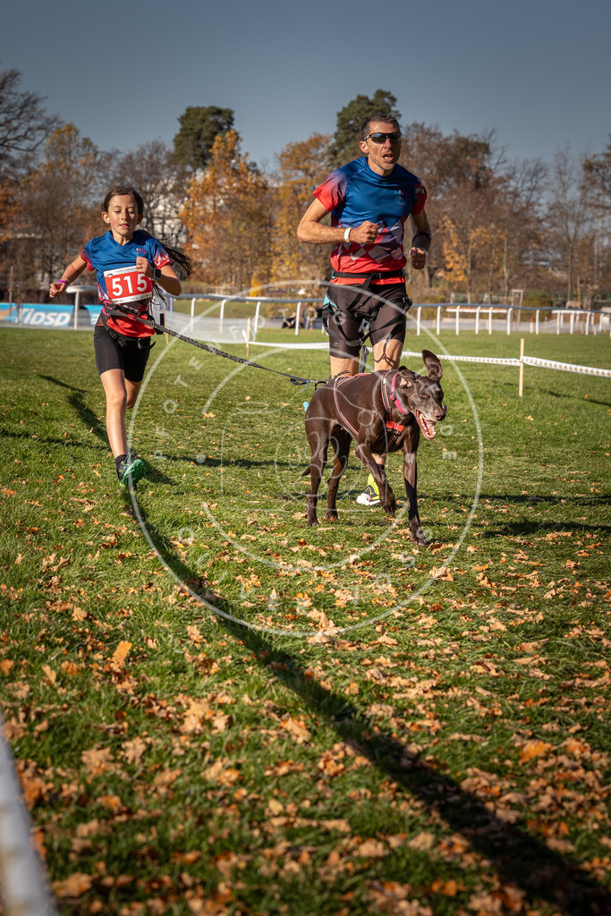 CaniXpix_0L8A6943 | Hundefotografie, Tierfotograf, Pfotenfotografie, Fotoshooting Hund, Hunde Portrait, Hundesport, Hundeportraits, Heideshooting, Hunde, Sportfotograf, Hundefotograf, Turnierhundsport, THS,  - Realisiert mit Pictrs.com