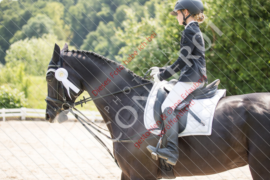 IMG_4068 | Sport-, Event- und Tierfotos in Profiqualität. Einfach auswählen, bestellen und herunterladen. Dein Moment – perfekt festgehalten.