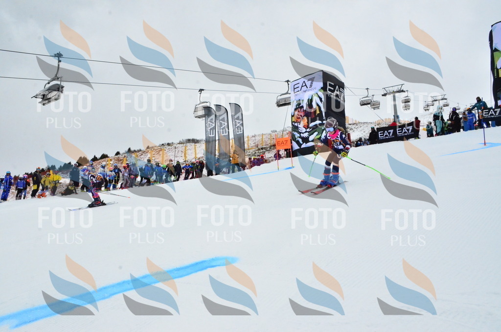 _ELE3160 | holidayphoto